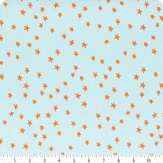 Starry Polar Yardage SKU# RS4109-83 by Ruby Star