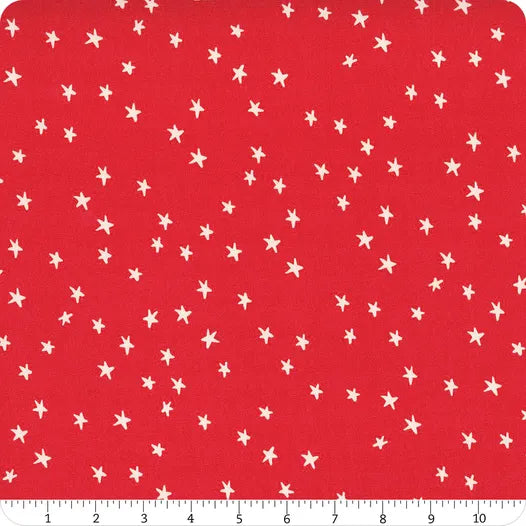 Starry Ladybug Yardage SKU# RS4109-74 by Ruby Star